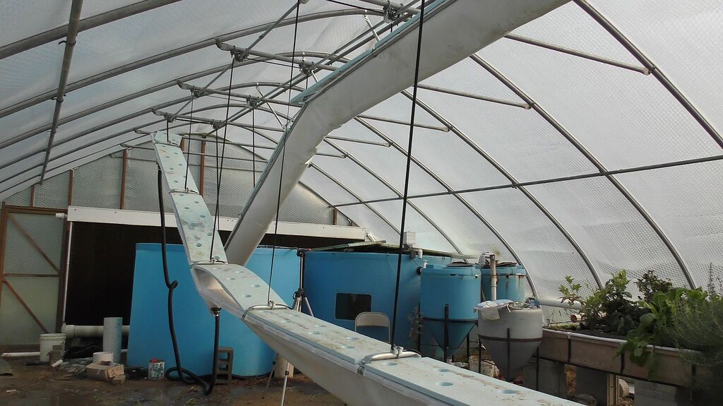 Major Aquaponics Fails? Share Your Story! - The Aquaponics Association 