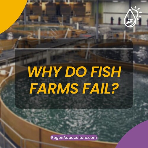 Why do fish farms fail