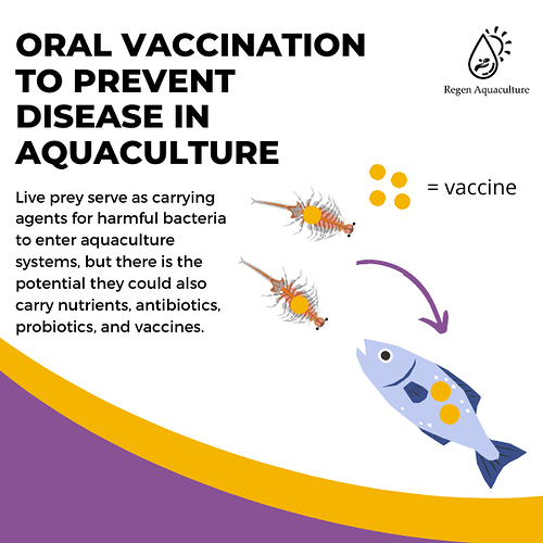 Oral Vaccination To Prevent Disease in Aquaculture 11.18.22